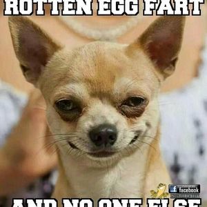 Meet your Posher, Paul